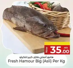 Kenz Hypermarket Fresh Hamour Big Asli offer