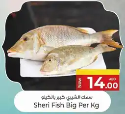 Kenz Hypermarket Sheri Fish Big offer