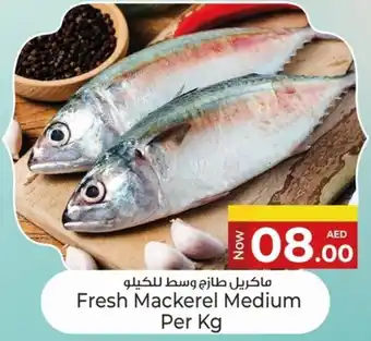 Kenz Hypermarket Fresh Mackerel Medium offer