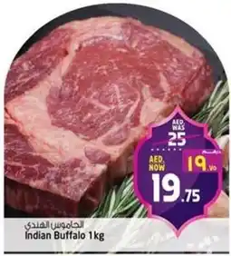 Safari Hypermarket Indian Buffalo offer