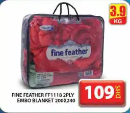 Grand Hyper Market Fine feather FF1118 2PLY embo blanket offer