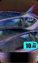 Amber Mackerel Fish offer