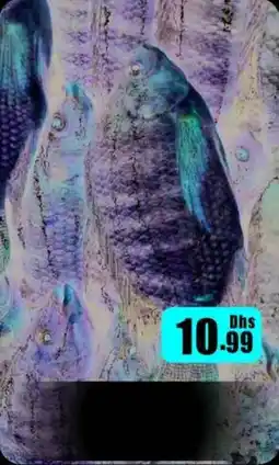 Amber Tilapia offer