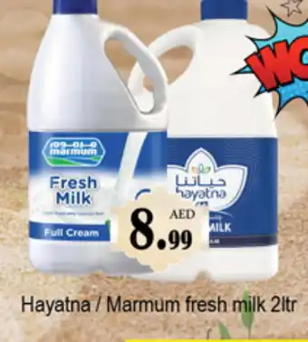 Gulf Hypermarket MARMUM Fresh Milk offer