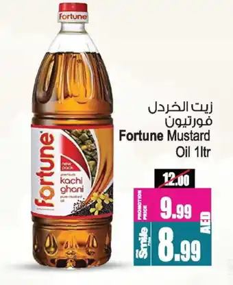 Ansar Gallery FORTUNE Mustard Oil offer