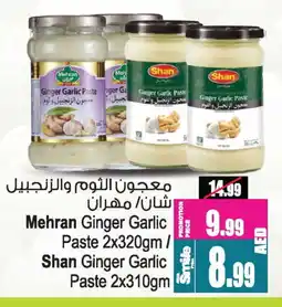 Ansar Gallery SHAN Garlic Paste offer