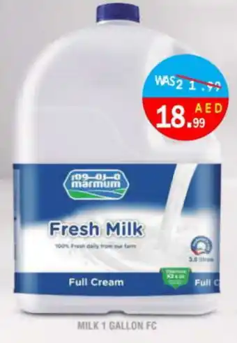 United Hypermarket MARMUM Fresh Milk offer