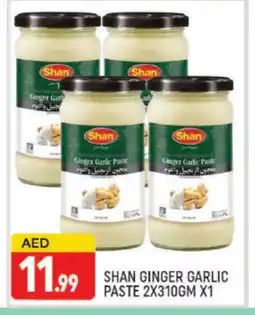 Al Madina SHAN Garlic Paste offer