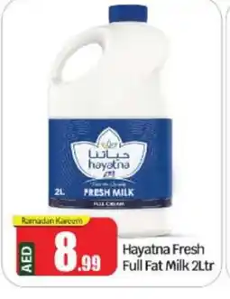 Bigmart HAYATNA Fresh Milk offer