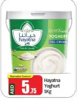 Bigmart HAYATNA Yoghurt offer