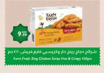 Istanbul Supermarket FARM FRESH Chicken Strips offer