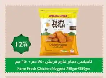 Istanbul Supermarket FARM FRESH Chicken Nuggets offer