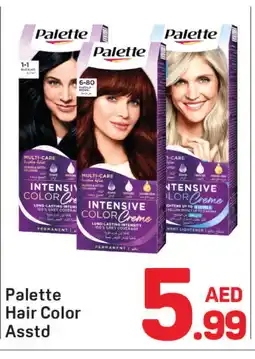 Day To Day PALETTE Hair Colour offer