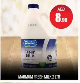 Bigmart MARMUM Fresh Milk offer