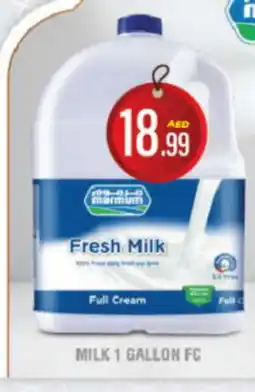 DESERT FRESH MARKET MARMUM Full Cream Milk offer