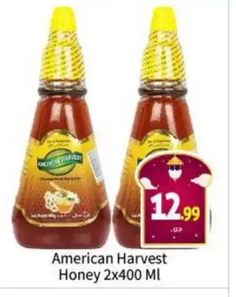 Bigmart AMERICAN HARVEST Honey offer