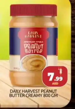 Bigmart AMERICAN HARVEST Peanut Butter offer