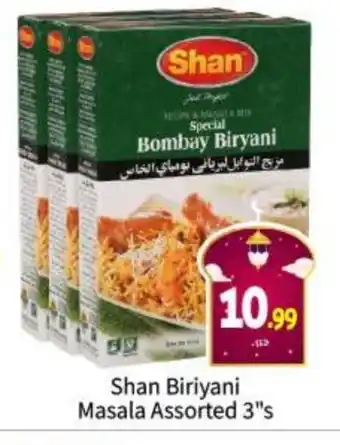 Bigmart SHAN Spices / Masala offer