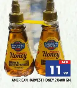 Al Madina AMERICAN HARVEST Honey offer