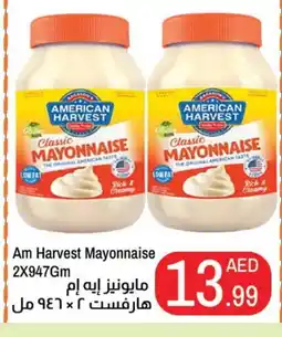 Rawabi Market AMERICAN CLASSIC Mayonnaise offer