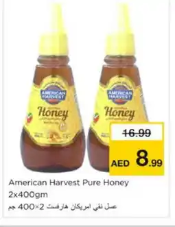 Nesto AMERICAN HARVEST Honey offer