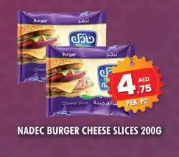 Night to Night Hypermarket NADEC Slice Cheese offer