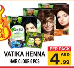 Friday Center VATIKA Hair Colour offer