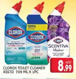 Palm Centre CLOROX Toilet / Drain Cleaner offer