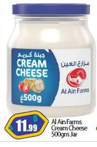 Bigmart AL AIN Cream Cheese offer