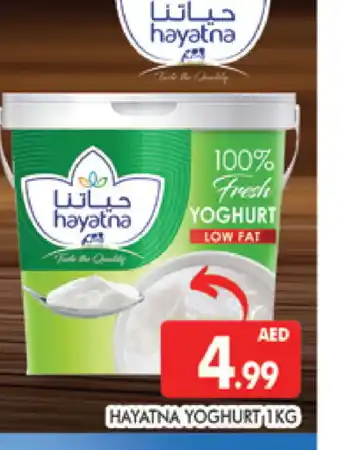 Al Madina HAYATNA Yoghurt offer