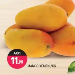 Shaklan Mango Mango offer