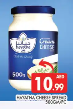 Al Madina HAYATNA Cream Cheese offer