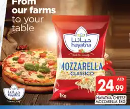 Al Madina HAYATNA Mozzarella offer