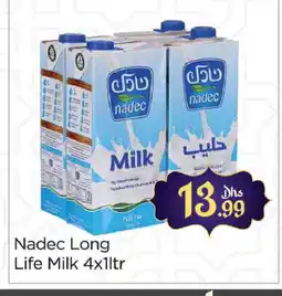 Al Madina NADEC Long Life / UHT Milk offer