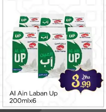 Al Madina AL AIN Laban offer