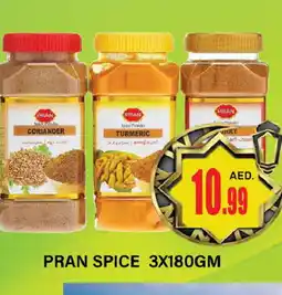 Al Madina PRAN Spices / Masala offer