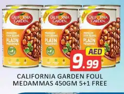 Mango Hypermarket LLC CALIFORNIA GARDEN Fava Beans offer