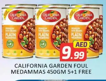 Mango Hypermarket LLC CALIFORNIA GARDEN Fava Beans offer