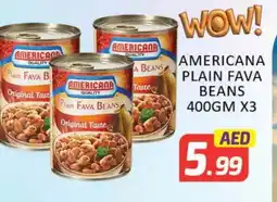 Mango Hypermarket LLC AMERICANA Fava Beans offer