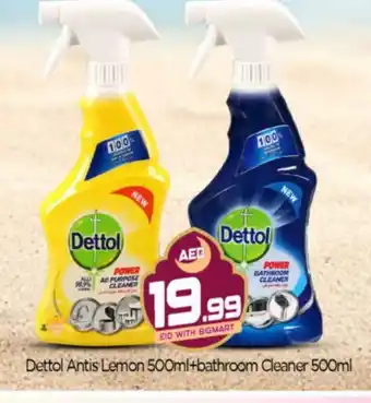 Bigmart DETTOL Toilet / Drain Cleaner offer