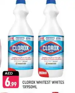 Shaklan CLOROX Bleach offer