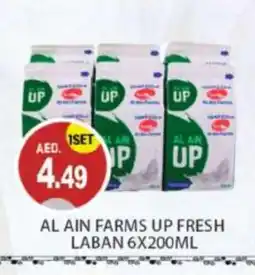 Talal Market AL AIN Laban offer