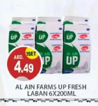 Talal Market AL AIN Laban offer