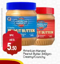 Talal Market AMERICAN HARVEST Peanut Butter offer