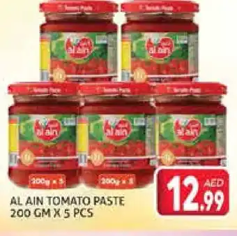 Palm Centre AL AIN Tomato Paste offer