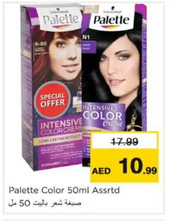 Nesto PALETTE Hair Colour offer