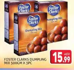 Palm Centre FOSTER CLARKS Dumpling Mix offer