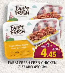 Al Madina FARM FRESH Chicken Gizzard offer