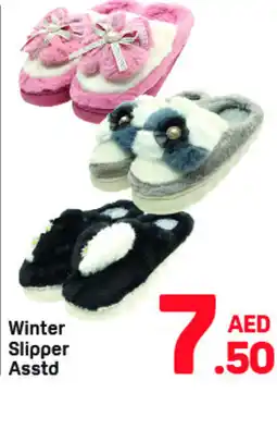 Day To Day Winter Slipper offer