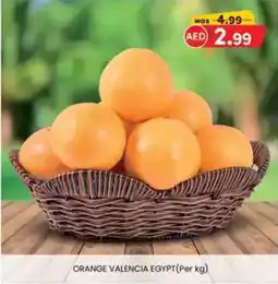 KM Trading Orange valencia egypt offer